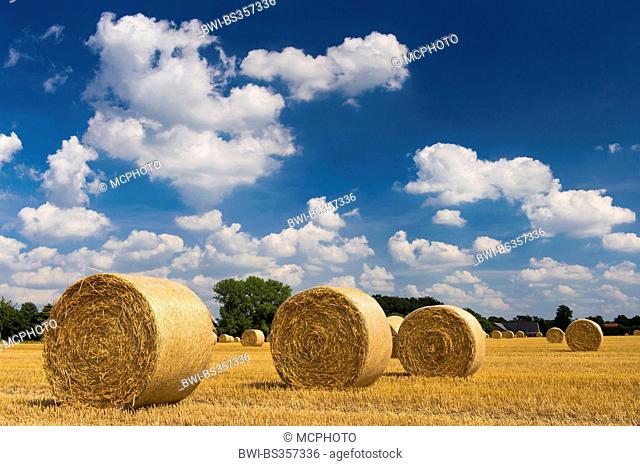round bales on stubble field, Germany, Lower Saxony, Oldenburger Muensterland