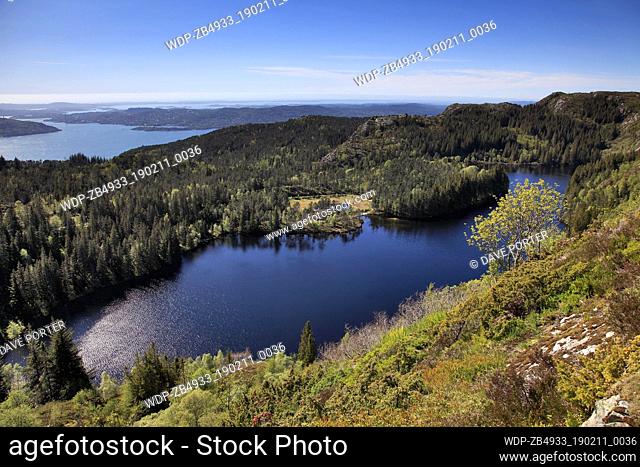 A view of Storediket Lake amongst the woodland on Mount Floyen, Bergen City, Hordaland, Norway, Scandinavia Europe
