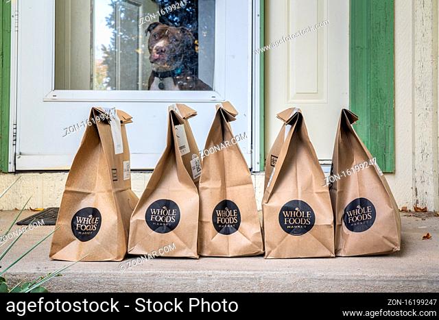 Fort Collins, CO, USA - October 13, 2020: Brown bags with groceries and fresh produce delivered to house from Whole Food Market with a friendly pitbull dog in...