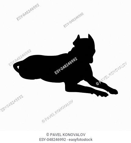Pit Bull Terrier Dog Silhouette. Smooth Vector Illustration