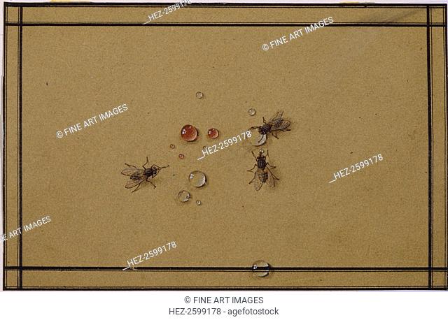 The flies at the waterdrops. Found in the collection of the State A. Pushkin Museum of Fine Arts, Moscow