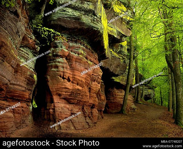 Germany, Rhineland-Palatinate, nature reserve Palatine wood, Eppenbrunn, Altschlossfelsen from new red sandstone