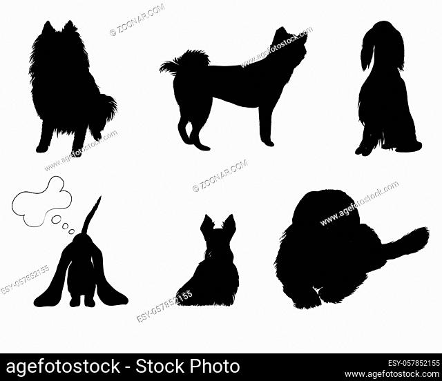 silhouettes set breeds of dog vector illustration eps 8