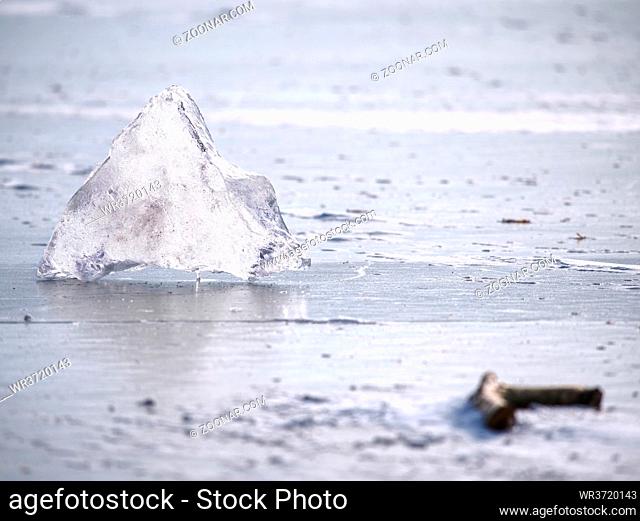 Arctic ice. Broken pieces of glacier floating on large floe to ocean