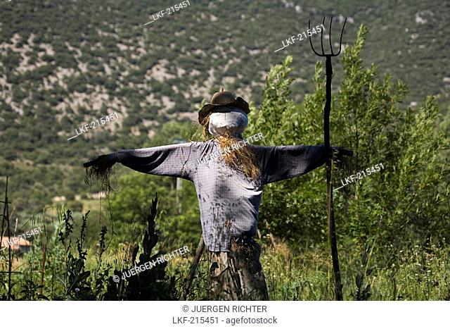 Lonely scarecrow with pitchfork, Luberon mountains, Vaucluse, Provence, France