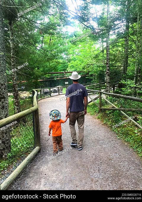 A father and son strolling on a path in a wildlife park, Nova Scotia, Canada, inhaling the aroma of trees