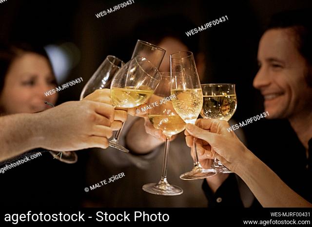Male and female friends toasting wineglasses during birthday celebration at home