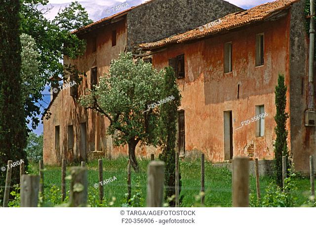 Housing beside the castle of Spessa. Capriva del Friuli. Friuli-Venezia Giulia, Italy