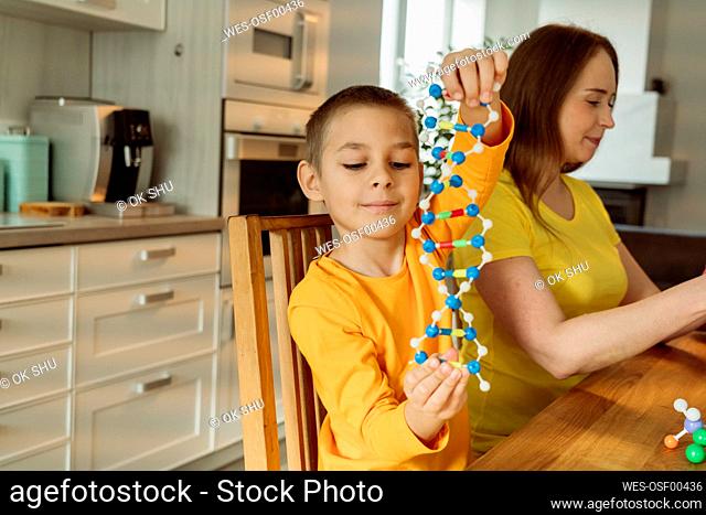 Boy holding DNA model by mother at home