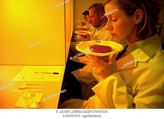 Sensory Laboratory, food analysis, Azti-Tecnalia, Marine and Food Research Technological Centre, Derio, Biscay, Basque Country, Spain