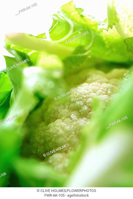 Cauliflower, Brassica oleracea botrytis, Studio shot of vegetable