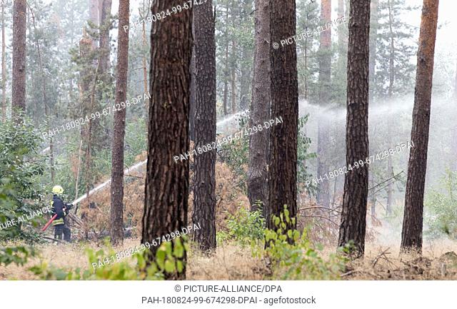 24 August 2018, Germany, Treuenbrietzen: Firefighters fighting a forest fire at Treuenbrietzen. Approximately 600 emergency forces were able to contain the...