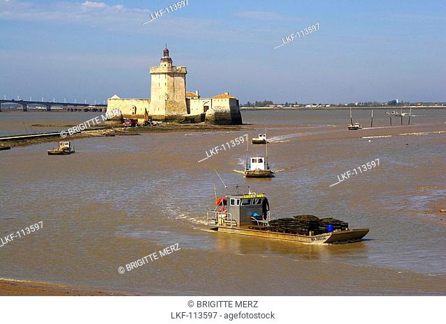 Pointe du Chapus, Le Chapus, oyster-culture, Fort Louvois, dept Charente-Maritime, Charente-Vendée, France, Europe