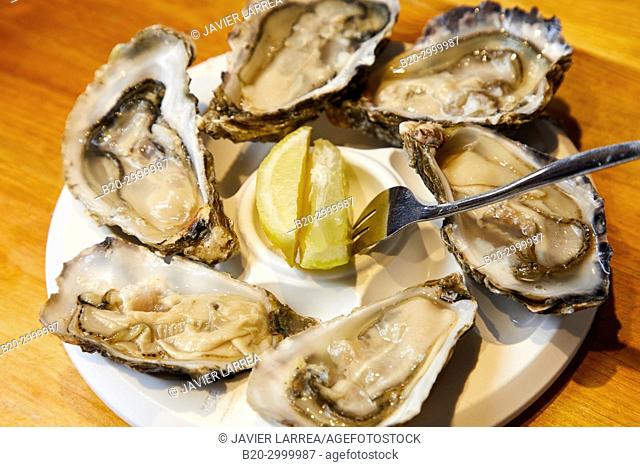 Oysters, Bar Restaurante Portaletas, Parte Vieja, Old Town, Donostia, San Sebastian, Gipuzkoa, Basque Country, Spain