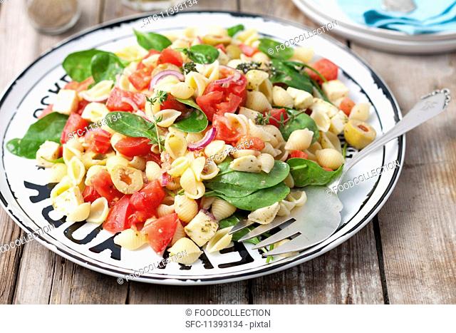 Conchiglie rigate salad with mozzarella, tomatoes, spinach, olives and pesto