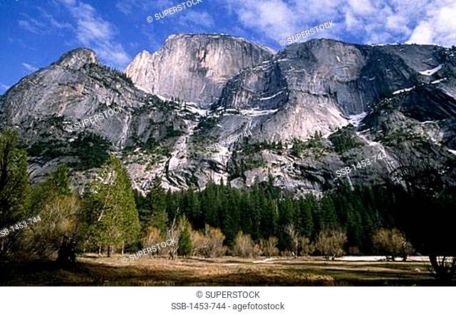 Trees in front of mountains, Half Dome, Yosemite National Park, California, USA