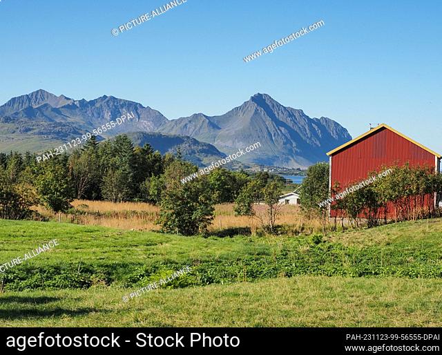 26 August 2023, Norway, Leknes: A red wooden house stands near Leknes harbor against a backdrop of mountains. Photo: Soeren Stache/dpa