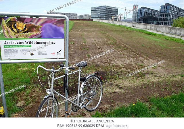 13 June 2019, Berlin: A bicycle leans against a sign with the inscription ""Das ist eine Wildblumenwiese"" in front of an open space in the Spreebogenpark at...