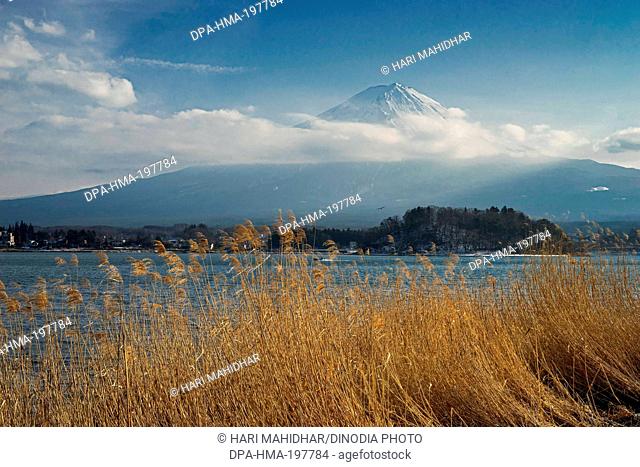 Kawaguchi lake near mount fuji, japan