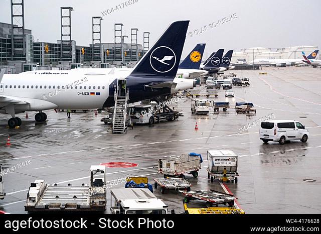 Frankfurt, Hessen, Germany, Europe - Lufthansa passenger planes are parked at their gate of Frankfurt Airport Terminal 1
