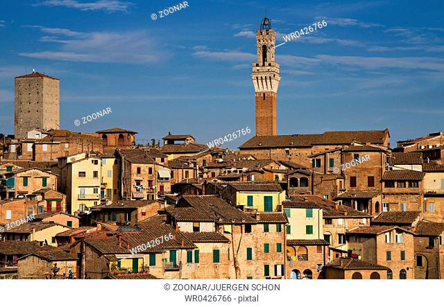 Panorama of Siena with Palazzo Pubblico