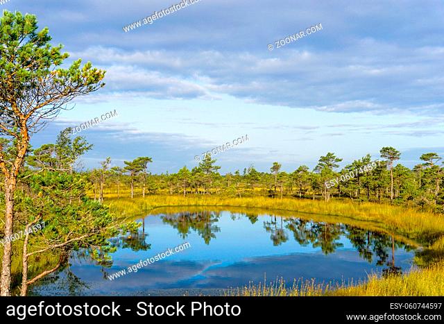 A raised bog and marsh landscape under an expressive sky
