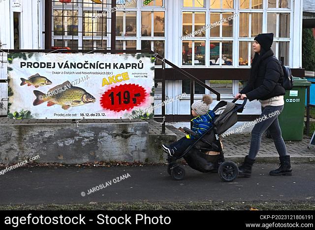 Christmas carp sale in Ostrava, Czech Republic, December 18, 2023. Foresters prepared fish for sale. Selling and killing of carps - which are traditional Czech...