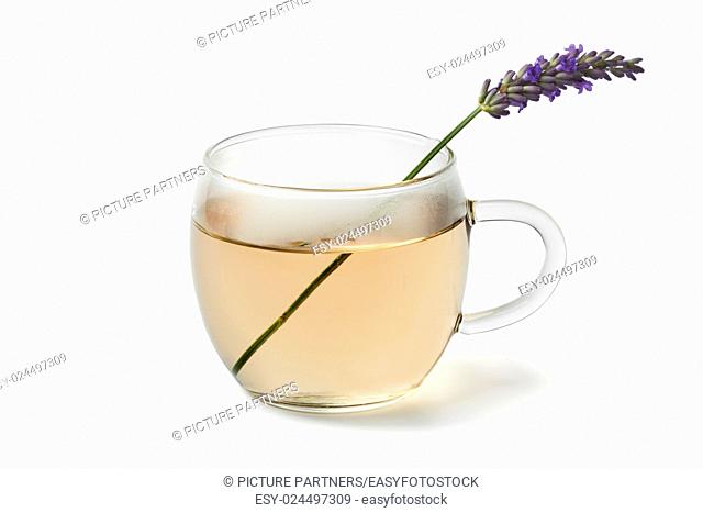 Glass cup of lavender tea on white background
