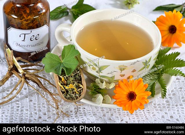 Menstrual cramps tea, calendula (Calendula officinalis), lady's mantle, goose cinquefoil, lemon balm leaves, lemon balm, peppermint leaves, peppermint