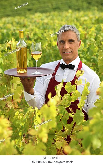 Waiter serving white wine in a vineyard