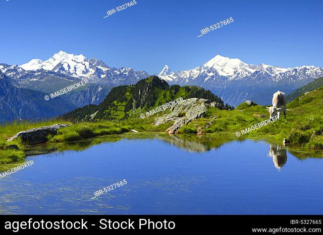 Swiss Alps, Mischabel Group, View from Huhfluh, Matterhorn, Weisshorn, Valais, Switzerland, Europe