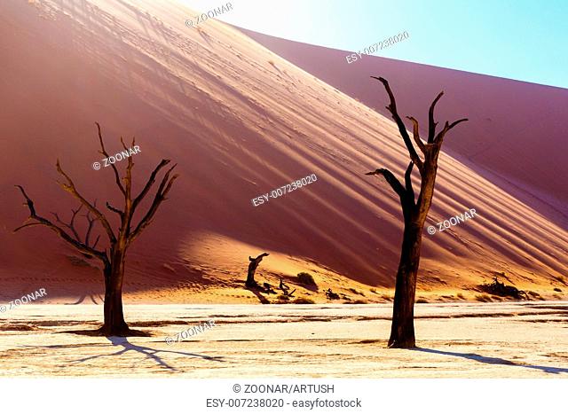 beautiful landscape of Hidden Vlei in Namib desert