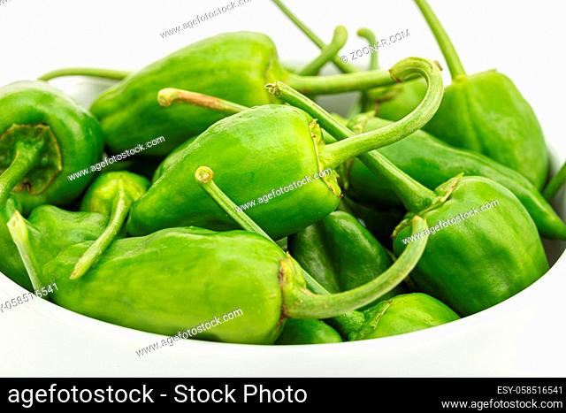 Fresh Padron pepper in bowl on white background. Capsicum annuum