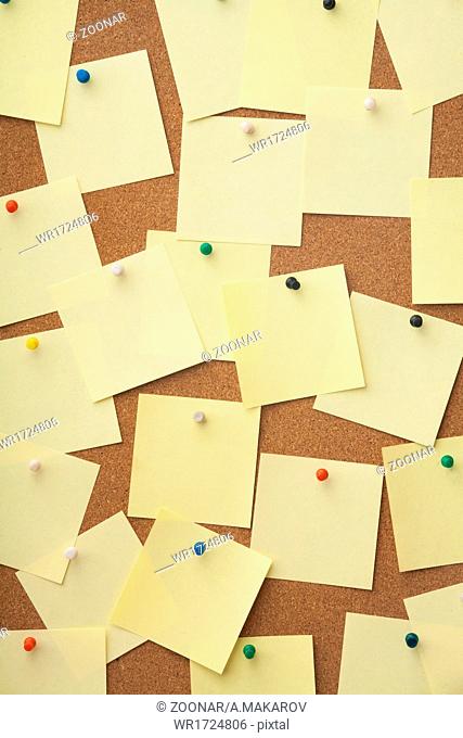 Corkboard and blank paper notes
