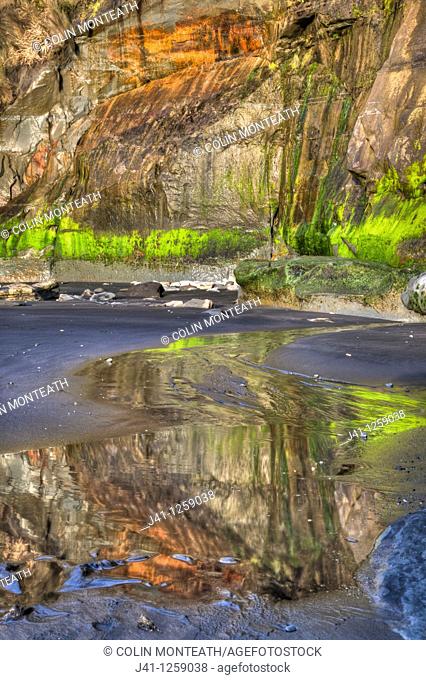 Cliff detail and reflection of algae colours in black sand beach, Tongaporutu, North Taranaki