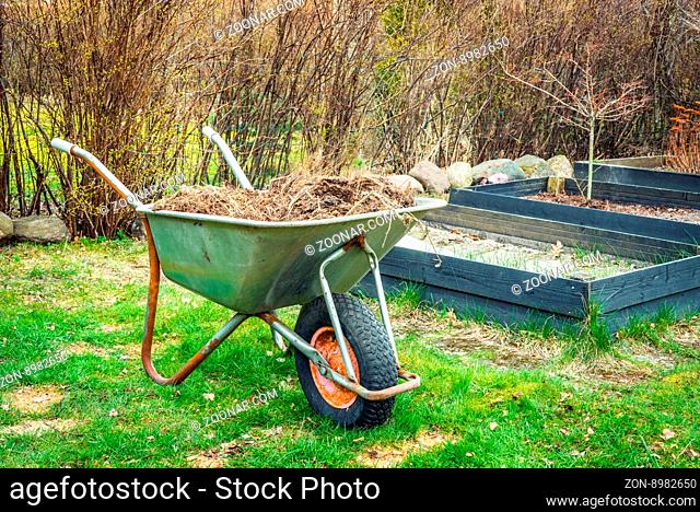 Wheelbarrow with garden waste on a lawn