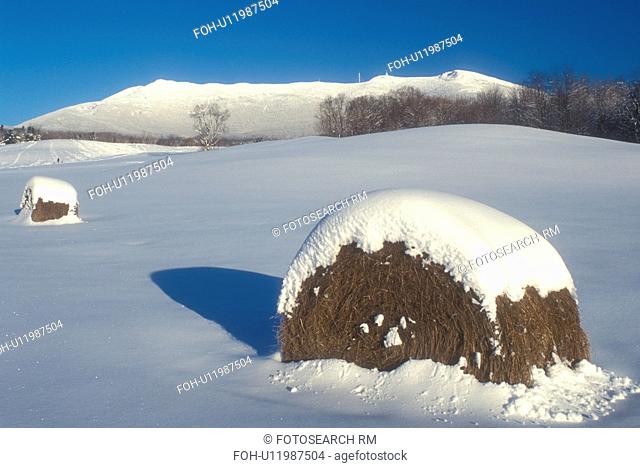 hay bale, mountain, winter scene, snow, Mt. Mansfield, Two snow covered hay bales in a field with Mount Mansfield in the distance on a sunny day in the winter...
