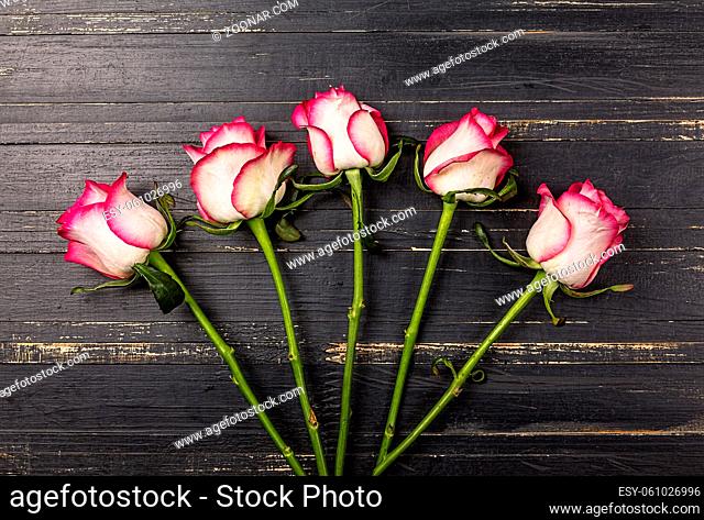 Roses on wooden black background. Free space for text. valentine's day, birthday