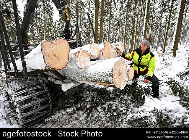 PRODUCTION - 08 December 2023, Saxony, Bockau: District forester Anne Borowski looks on in the snow-covered winter forest near Bockau in the Ore Mountains while...