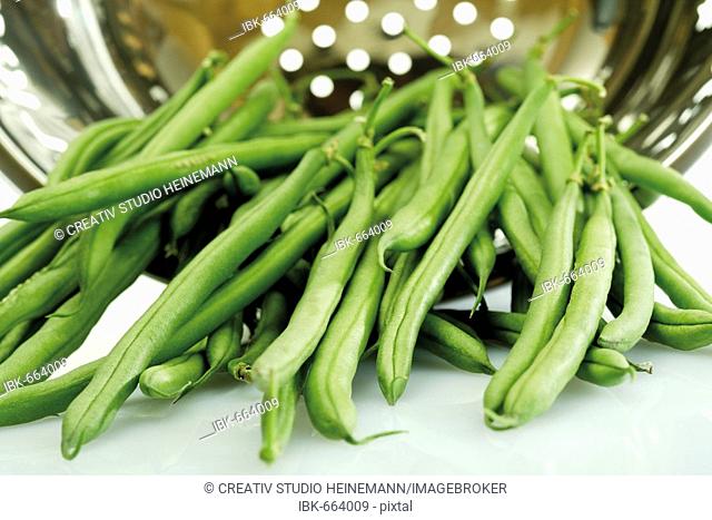 Green beans (Phaseolus) in a strainer