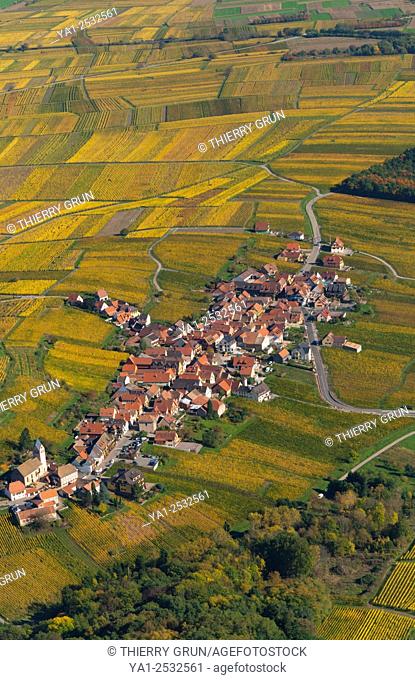 France, Bas Rhin 67, Wines road, village of Itterswiller, vineyards in autumn aerial view