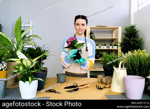 Female gardener holding plant while standing at table in workshop