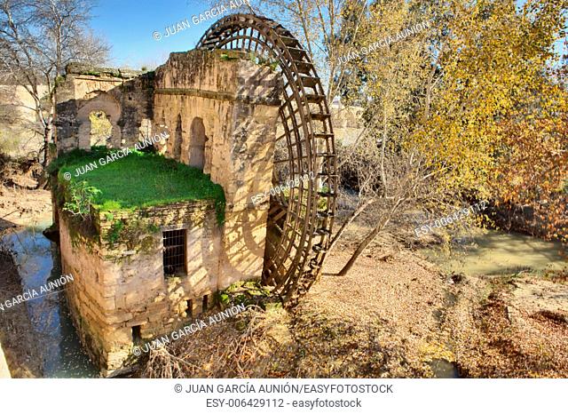 Albolafia mill or Kulaib mill, on the right bank of the Guadalquivir. The historical role of the Albolafia mill is very important since it is the first place in...