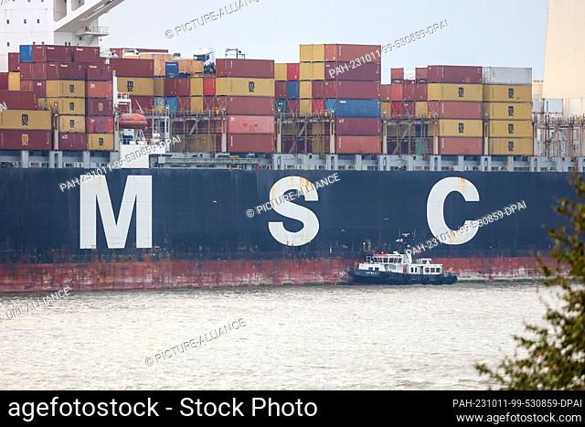 11 October 2023, Hamburg: The container ship ""MSC Regulus"" is moored on the Elbe near Finkenwerder. The 366-meter-long ship has moored in Finkenwerder with...