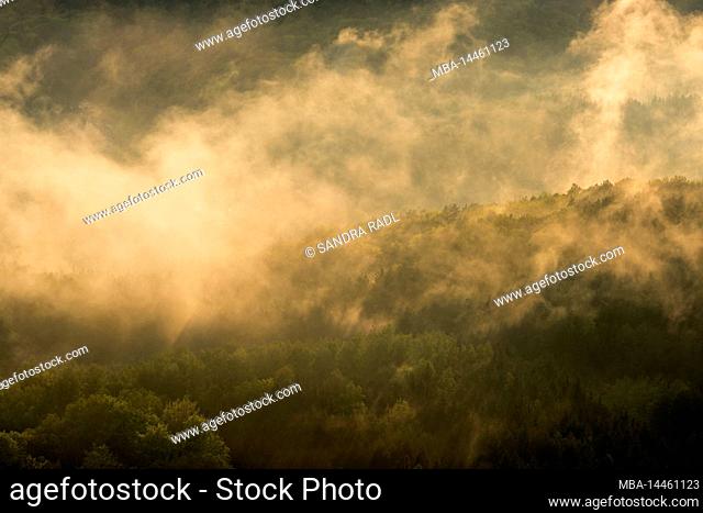 after the rain the forest steams, haze clouds shine in the light of the evening sun, Pfälzerwald Nature Park, Pfälzerwald-Nordvogesen Biosphere Reserve, Germany