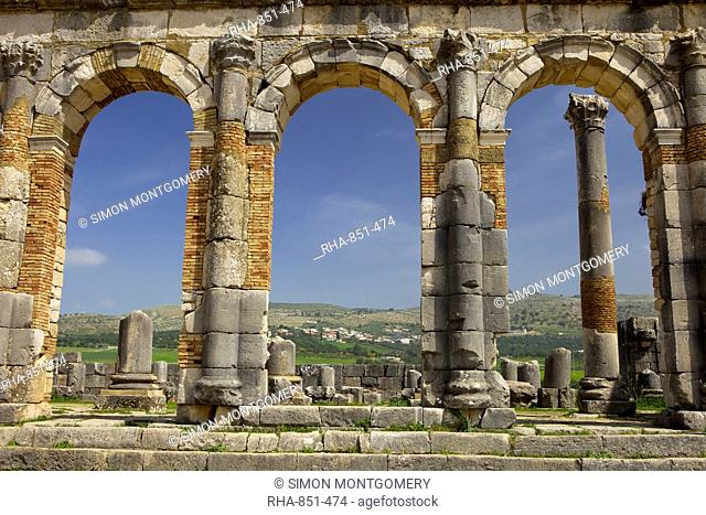 Roman archaeological site, Volubilis, UNESCO World Heritage Site, Meknes Region, Morocco, North Africa, Africa