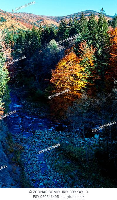 Autumn Carpathian Mountains landscape and river Bystrytsia of Solotvyn (Guta, Ivano-Frankivsk oblast, Ukraine). View from above
