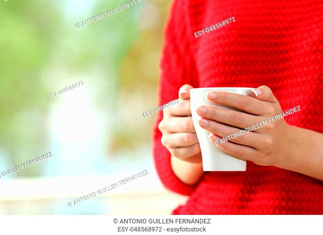 Close up of a woman wearing red sweater with hands holding a coffee cup beside a window with a green background
