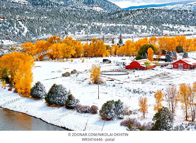 Season changing, first snow and autumn trees. Rocky Mountains, Colorado, USA