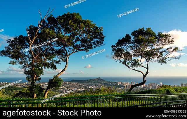 Trees frame panorama over Waikiki, Honolulu and Diamond Head from the Tantalus Overlook on Oahu, Hawaii